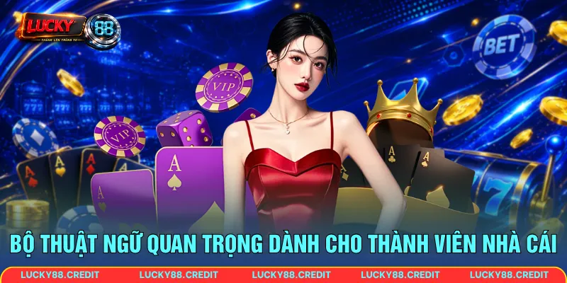 Bộ thuật ngữ quan trọng dành cho thành viên nhà cái