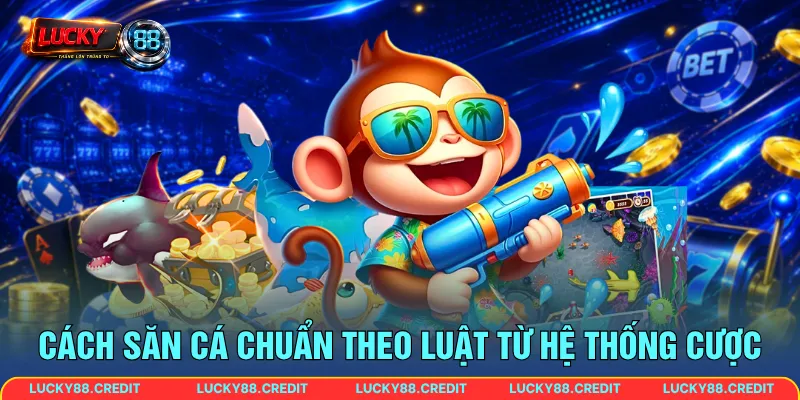 Cách săn cá chuẩn theo luật từ hệ thống cược