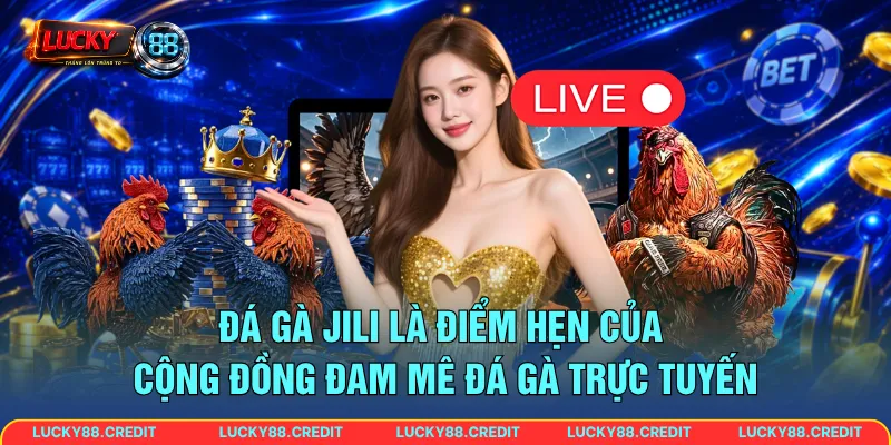 Đá gà Jili là điểm hẹn của cộng đồng đam mê đá gà trực tuyến