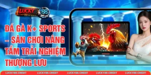 Đá gà K+ Sports