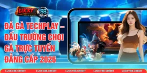 Đá gà TechPlay