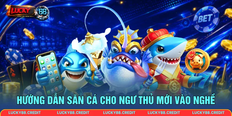 Hướng dẫn săn cá cho ngư thủ mới vào nghề