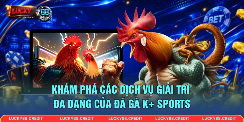 Khám phá các dịch vụ giải trí đa dạng của đá gà K+ Sports