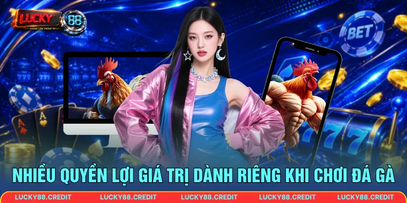 Nhiều quyền lợi giá trị dành riêng khi chơi đá gà online