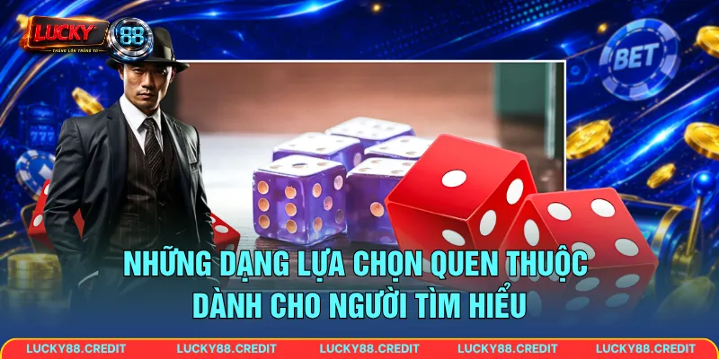 Những dạng lựa chọn quen thuộc dành cho người tìm hiểu