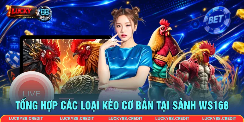 Tổng hợp các loại kèo cơ bản tại sảnh WS168