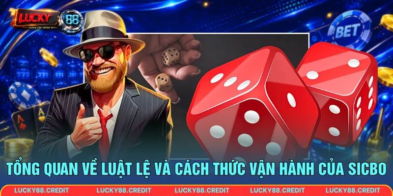 Tổng quan về luật lệ và cách thức vận hành của Sicbo