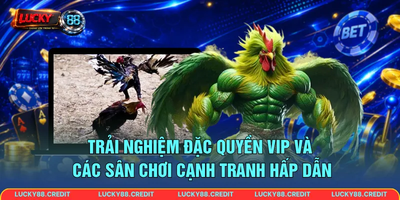 Trải nghiệm đặc quyền VIP và các sân chơi cạnh tranh hấp dẫn